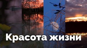 Красота жизни | С любовью к русской природе
