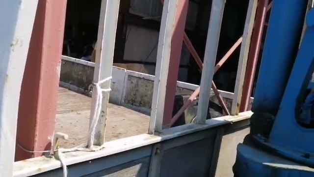 5590.mp4 смотреть онлайн