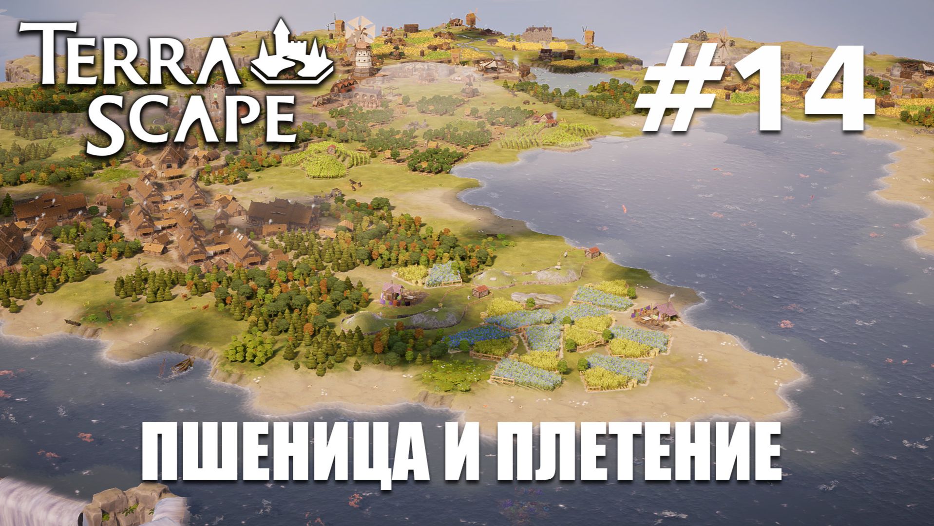Terra Scape #14 Пшеница и плетение