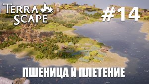 Terra Scape #14 Пшеница и плетение