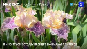 В Никитском ботсаду пройдёт 21-й карнавал ирисов
