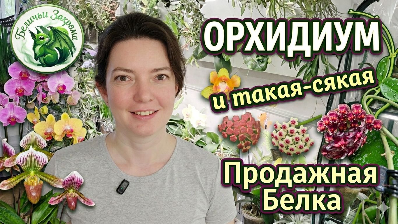 Белка РАСПРОДАЕТ СВОИ Растения и РАЗБАЛТЫВАЕТ СЕКРЕТЫ компании ОРХОРАЙ!