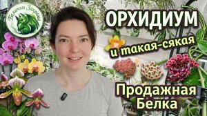 Белка РАСПРОДАЕТ СВОИ Растения и РАЗБАЛТЫВАЕТ СЕКРЕТЫ компании ОРХОРАЙ!