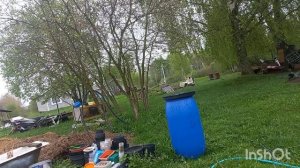 12 мая 2026 года. Обзор огорода!!