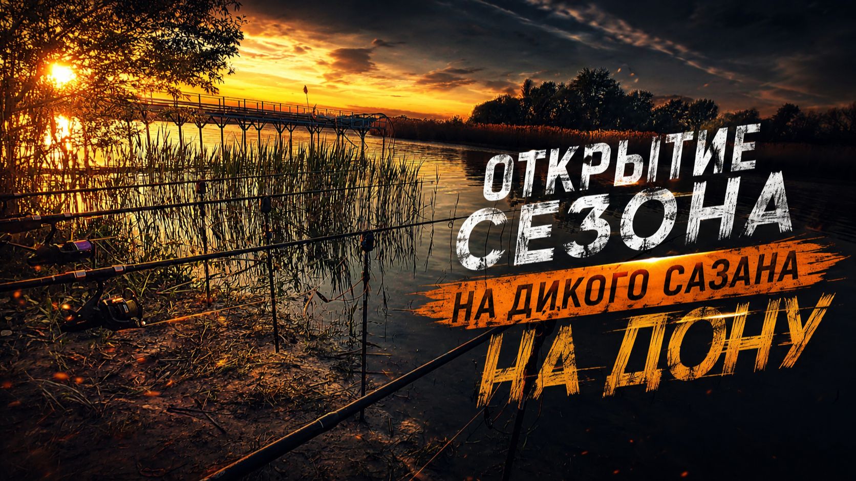 Открытие рыболовного сезона на дикого сазана на Дону.