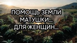 ПОМОЩЬ ЗЕМЛИ МАТУШКИ…ДЛЯ ЖЕНЩИН…