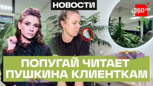 Сыночка-корзиночка: как крохотный волнистый питомец Чико очаровал женщин