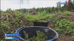 Суровые мужчины с мечами возрождают костромские леса