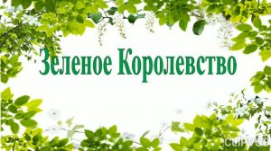 ПРИГЛАШАЮ В МОЁ ЗЕЛЕНОЕ КОРОЛЕВСТВО!
