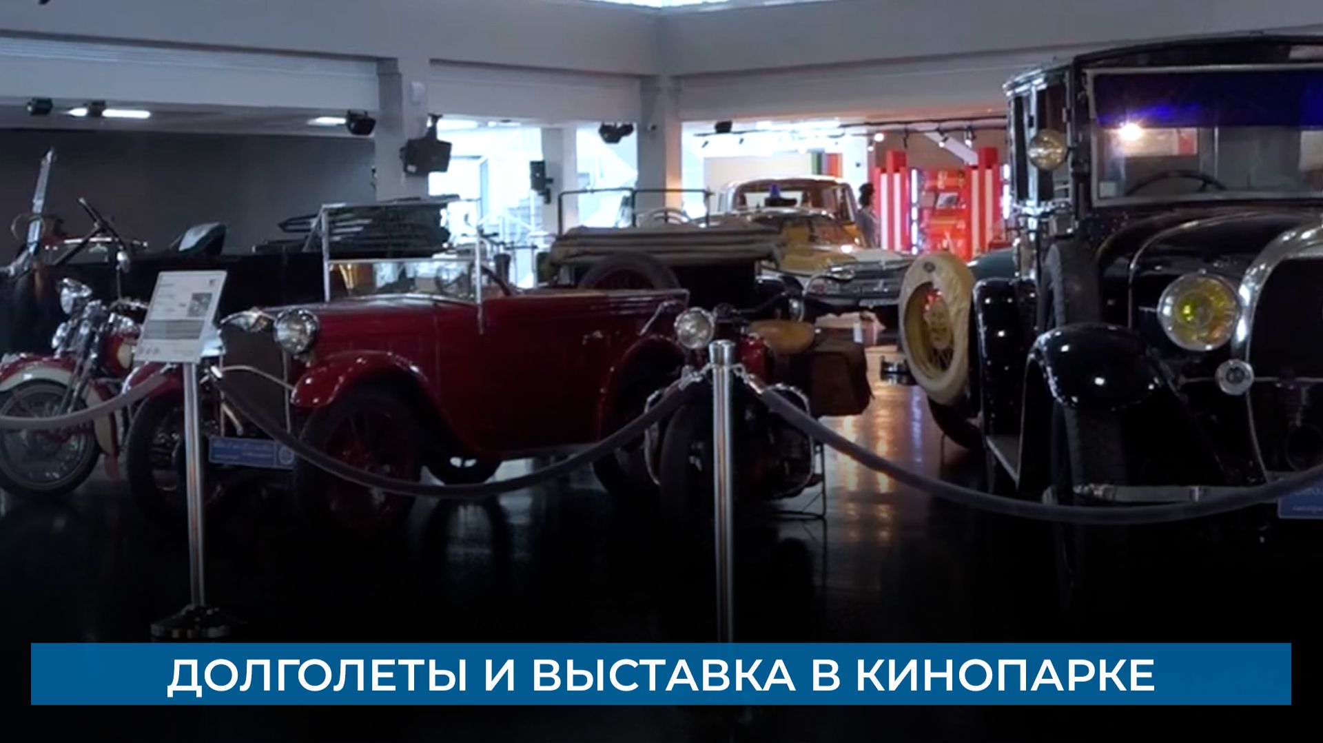 Долголеты и выставка в кинопарке