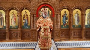 Проповедь епископа Питирима (Творогова) в день памяти иконы Божией Матери «Нечаянная Радость»