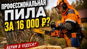 Подкаст: тест профессиональной бензопилы Carver RSG 365