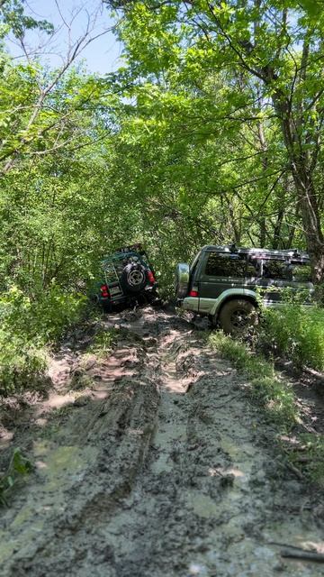 #рейдпамяти2026 #бездорожье #деньпобеды #krd4x4 #паджеро2 #паджеронабездорожье