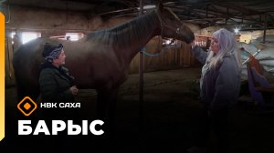 «Барыс»  (14.05.26)