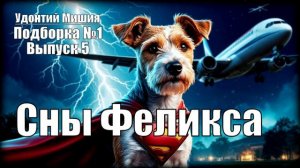 «Сны Феликса» Удонтий Мишия: Подборка №1. Выпуск №5
