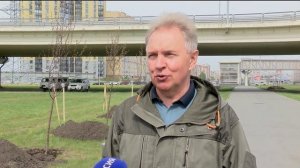 Порядка восьми тысяч новых зеленых насаждений появится в Тюмени в этом сезоне