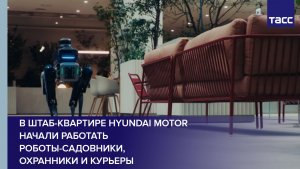 В штаб-квартире Hyundai Motor начали работать роботы-садовники, охранники и курьеры