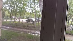 14-05-2026  доброе утро