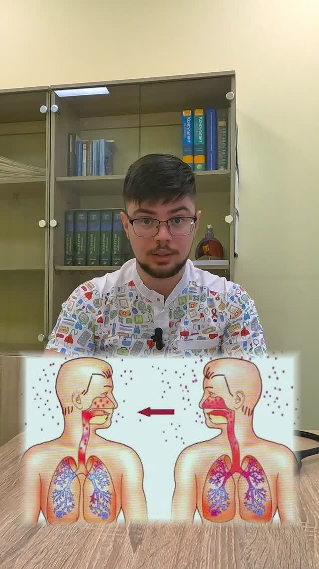 Стафилококк