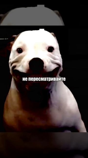 Смайлдог смотреть онлайн