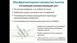 Биология костного сращения.Абсолютная и относительная стабильность.Биомеханика, техника достижения.