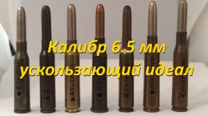 Калибр 6,5 мм: ускользающий идеал винтовочного патрона