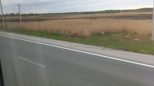 болталка по дороге к остановке🙂