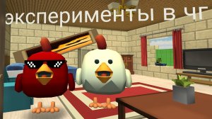 эксперименты над чикеном в чг