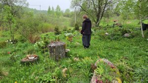 Весенняя деревня и обновлённый дом