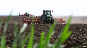 Поставки продовольствия для 160 стран: Россия лидирует по экспорту пшеницы в мире