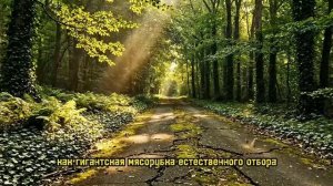Дикая природа в Припяти.Что стало с городом в котором больше ни кто не живет.👀