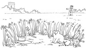 A Year In The Life Of A Cat - Simon's Cat   COLLECTION