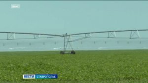 На Ставрополье растет производство экспортируемых сельхозкультур