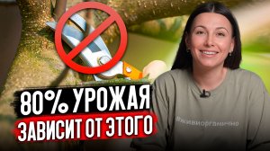 Урожай через год, а не через 5 лет! Делай МИНИМУМ, а дерево скажет спасибо!