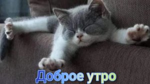Доброе утро пятницы. Красивая музыкальная открытка.