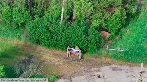 Наши войска взяли под контроль Чайковку в Харьковской области и освободили Чаривное в Запорожской.