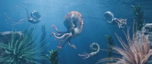 Торатау Тайны древних морей научно-популярный документальный фильм