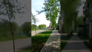 Бодрое утро: прямой эфир для бодрого начала дня