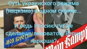 Суть украинского режима (нацизма) в одном скрине...