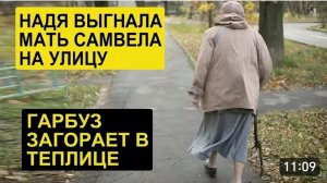 САМВЕЛ АДАМЯН, ОБЗОР ОТ СК, НАДЯ ВЫГНАЛА МАМУ САМВЕЛА, ГАРБУЗ В КУПАЛЬНИКЕ САДИТ ПОМИДОРЫ..