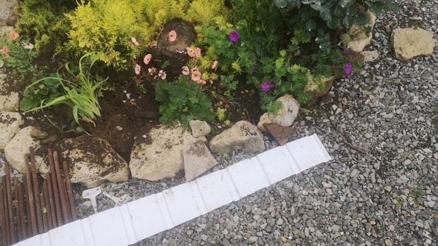 Перепланировка маленькой клумбы вло дворике
