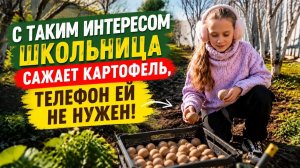 Школьница выращивает суперкартофель: +800% пользы в каждом клубне!