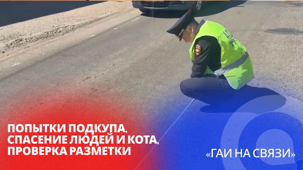 Попытки подкупа, спасение людей и кота, проверка разметки / 