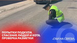 Попытки подкупа, спасение людей и кота, проверка разметки / «ГАИ на связи»