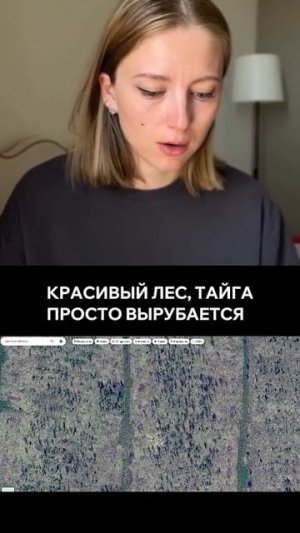 ЭТО КОШМАР. Тайга вырубается, распродается Китаю.