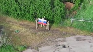Российская армия освободила населенные пункты Чайковка и Чаривное в зоне проведения СВО.