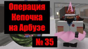 Кепочка на Арбузе 35