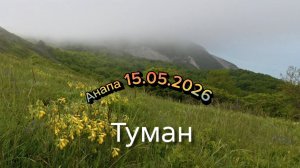 Анапа 15.05.2026 Туман