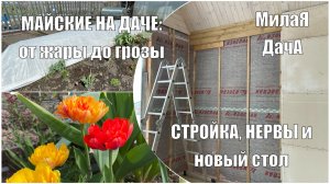 Заморозки на 9 мая | Снимаем вагонку! Ошибка с цветом и важный этап стройки