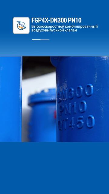 FGP4X-DN300 PN10 Высокоскоростной комбинированный воздуховыпускной клапан-FENQI